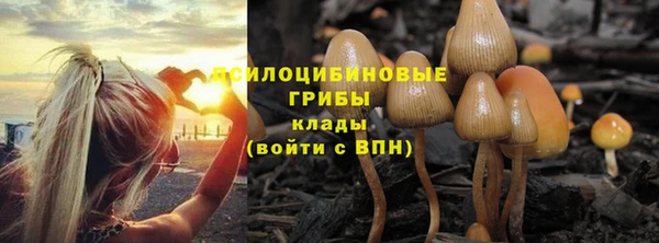 герыч Куйбышев