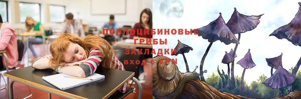 2c-b Лабытнанги