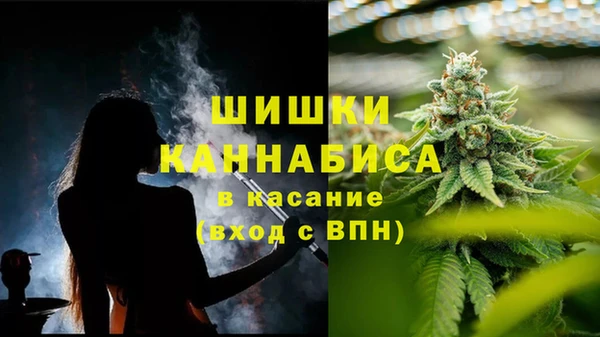 спайс Лагань