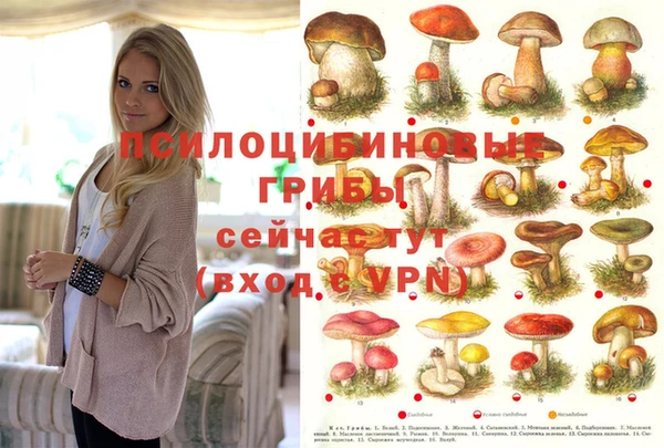 2c-b Лабытнанги