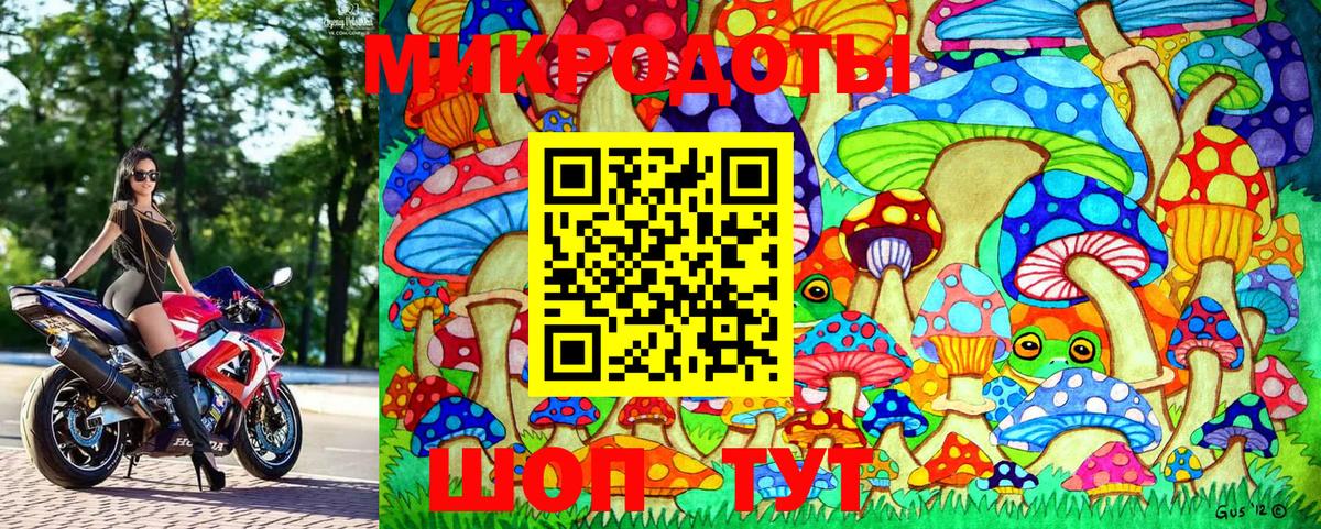 Галлюциногенные грибы Psilocybine cubensis Фурманов
