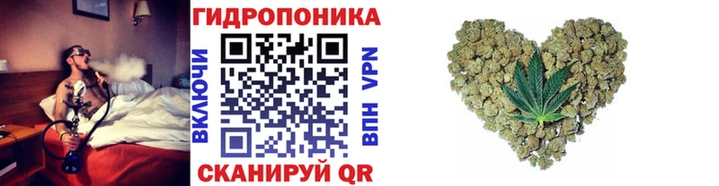 Шишки марихуана гибрид KRAKEN ссылки Фурманов